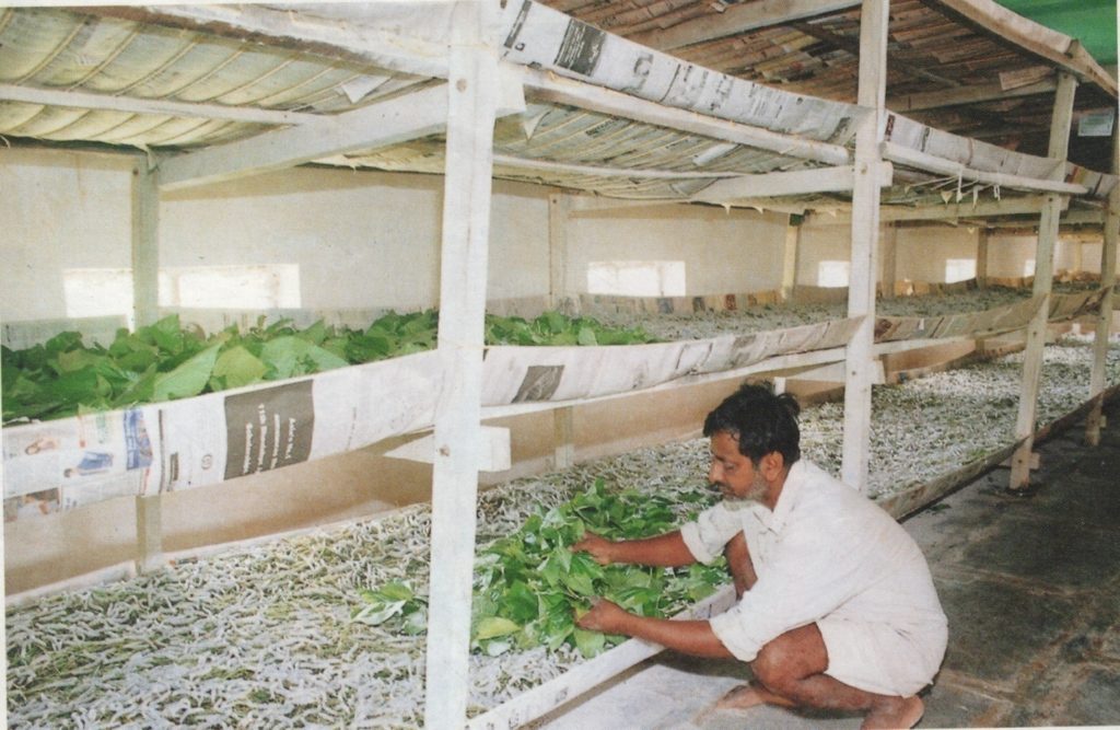 silkworm rearing house