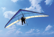 The Hang Glider The Hang Glider